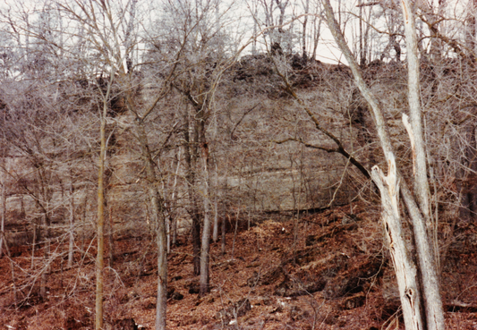 The Rock Garden
